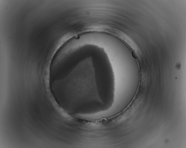 X0000103950994200809261744