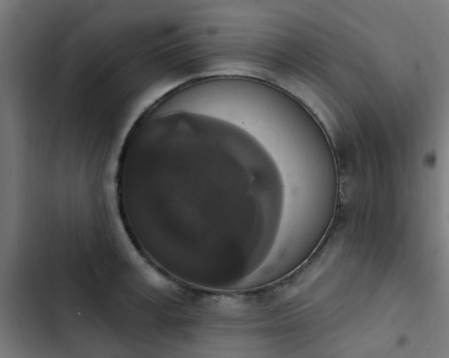 X0000103950995200809261744