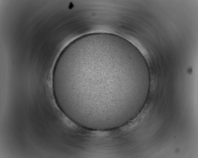 X0000103950996200809261744