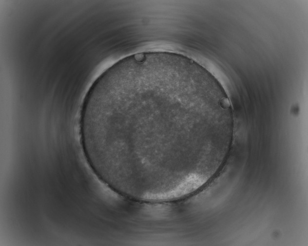 X0000103950997200809261744