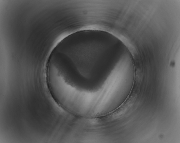 X0000103950998200809261744