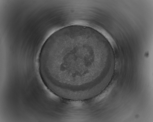 X0000103950999200809261744