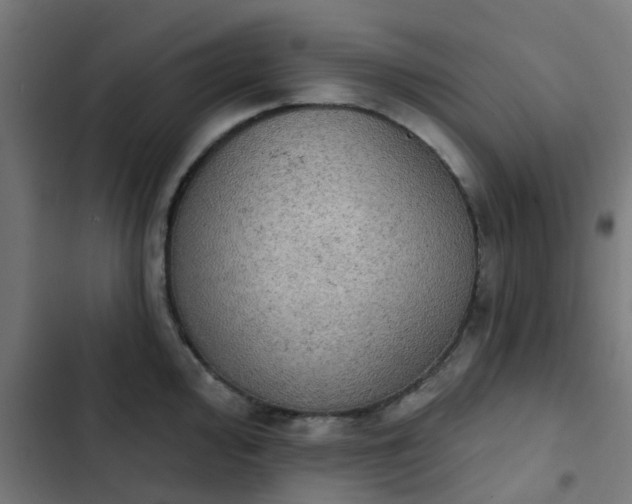 X0000103951000200809261744