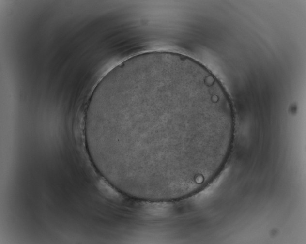 X0000103951001200809261744