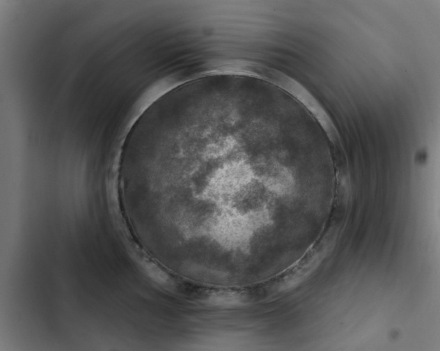 X0000103951002200809261744