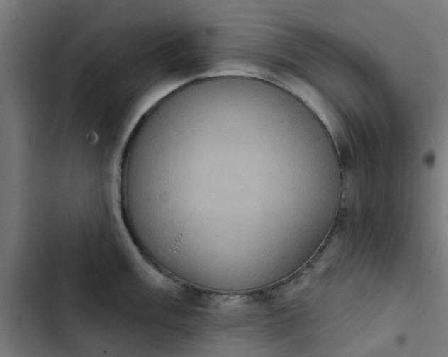 X0000103951003200809261744