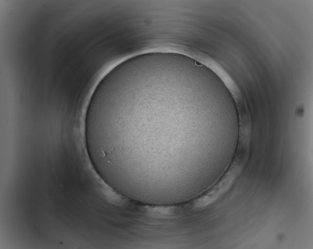 X0000103951004200809261744