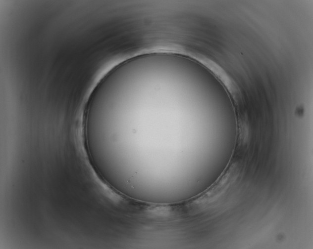 X0000103951006200809261744