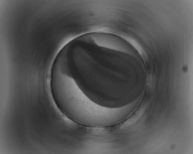 X0000103951007200809261744