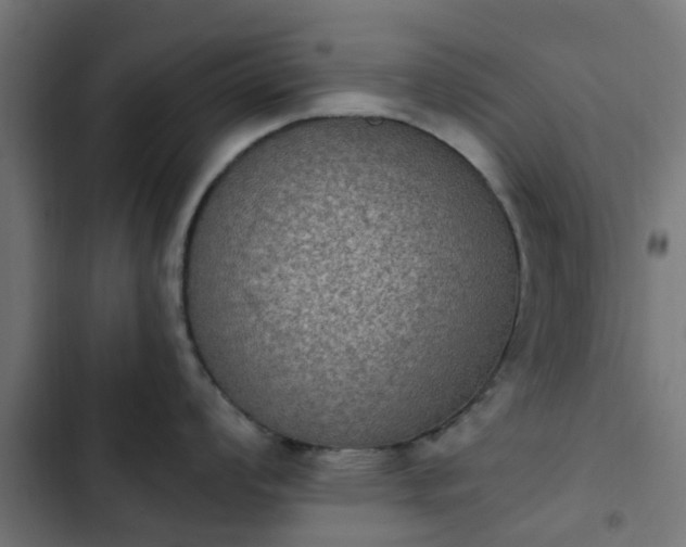 X0000103951008200809261744