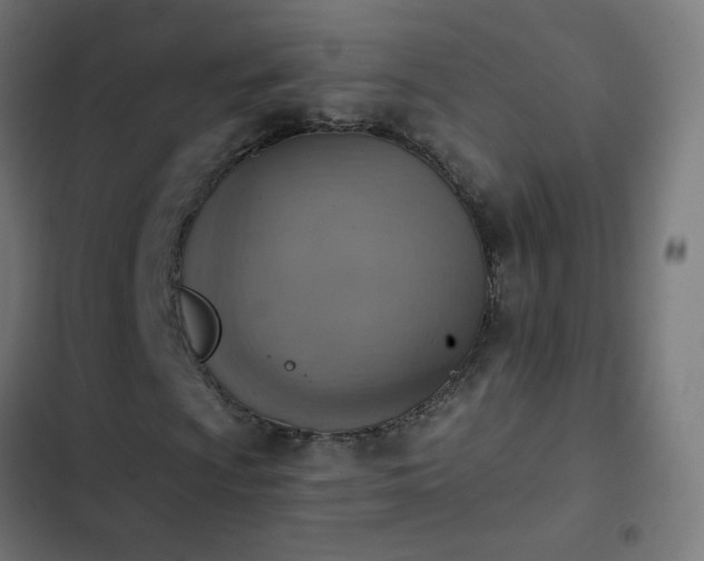 X0000103951009200809261743