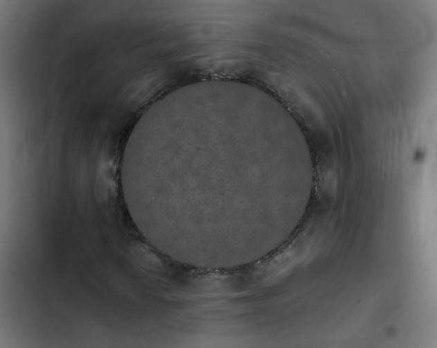 X0000103951010200809261743