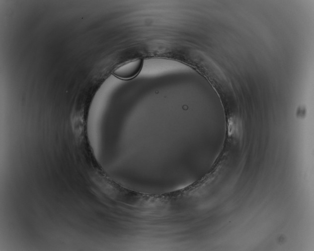 X0000103951011200809261743