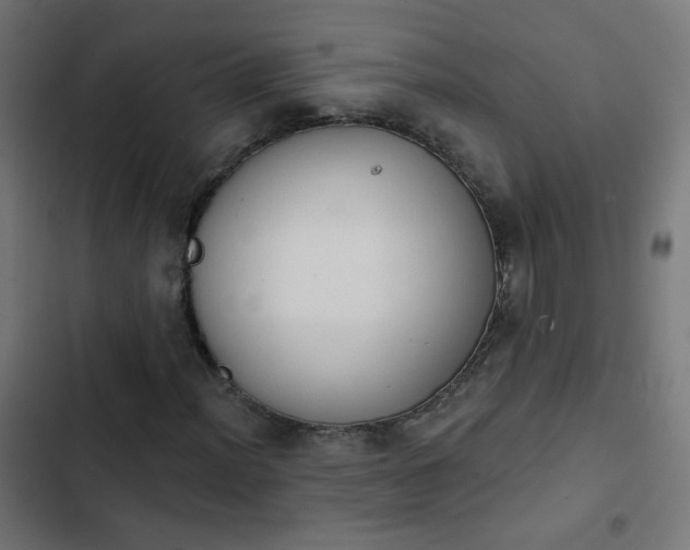 X0000103951012200809261743