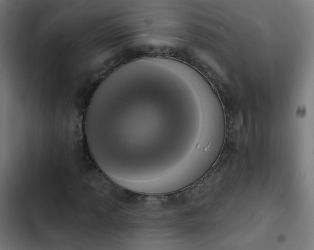 X0000103951013200809261743