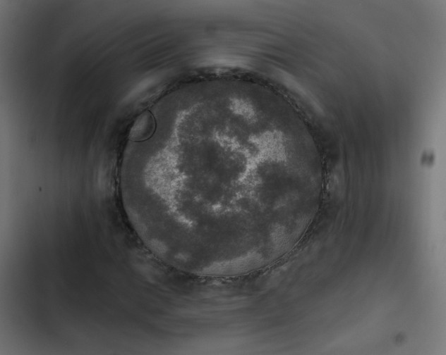 X0000103951014200809261743