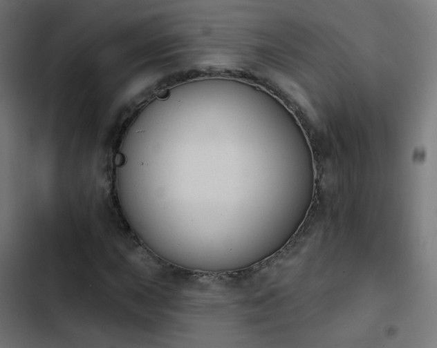 X0000103951015200809261743