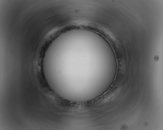 X0000103951016200809261743