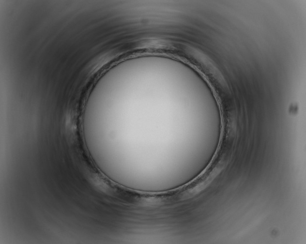 X0000103951017200809261743