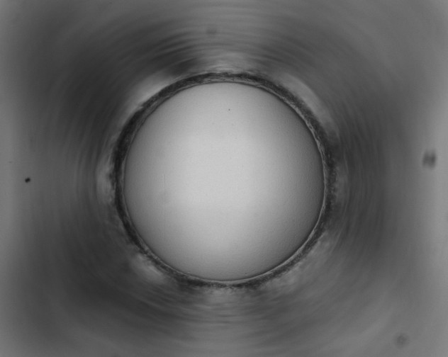 X0000103951018200809261743