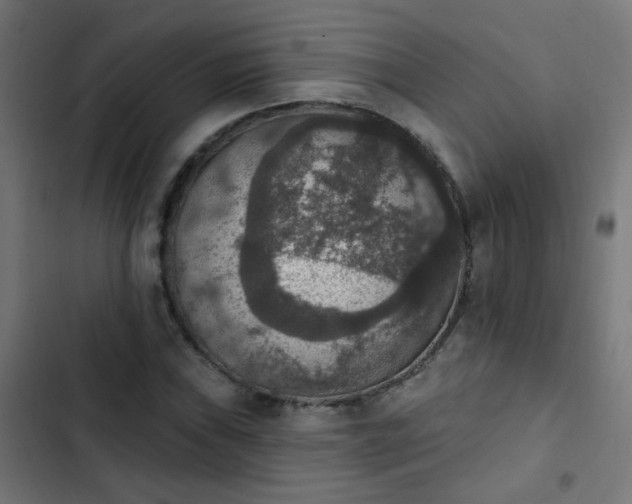 X0000103951019200809261743