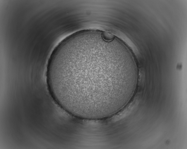 X0000103951020200809261743