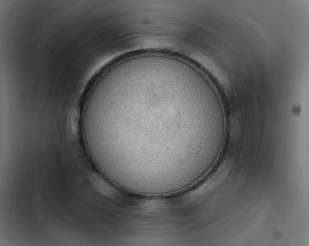 X0000103951021200809261743