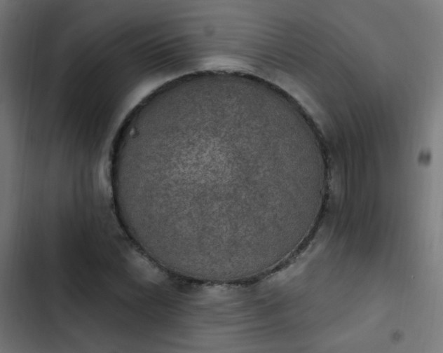 X0000103951022200809261743