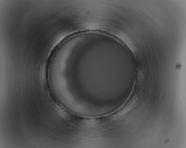 X0000103951023200809261743