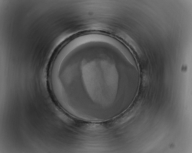 X0000103951024200809261744