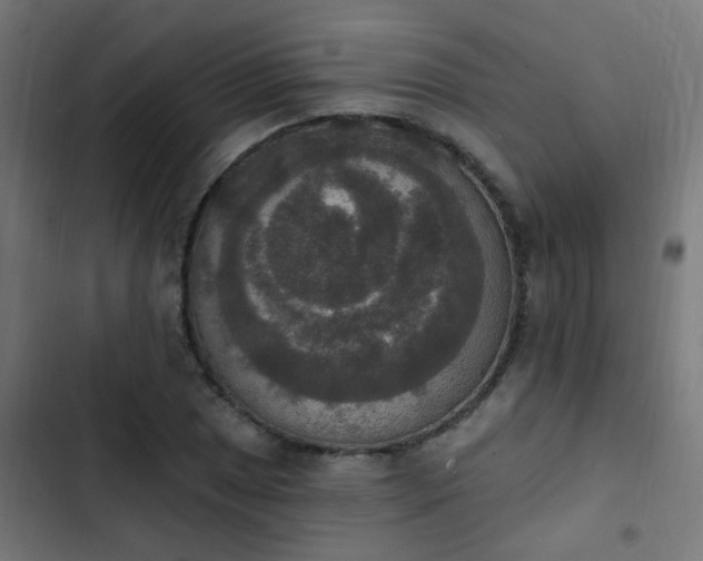 X0000103951025200809261744