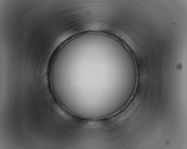 X0000103951026200809261744