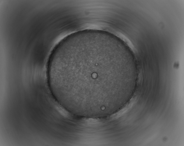 X0000103951027200809261744