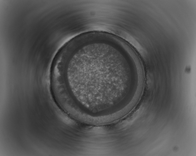 X0000103951028200809261744