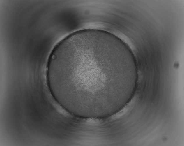 X0000103951029200809261744