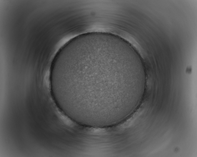 X0000103951030200809261744