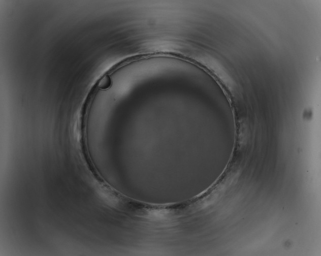 X0000103951031200809261744