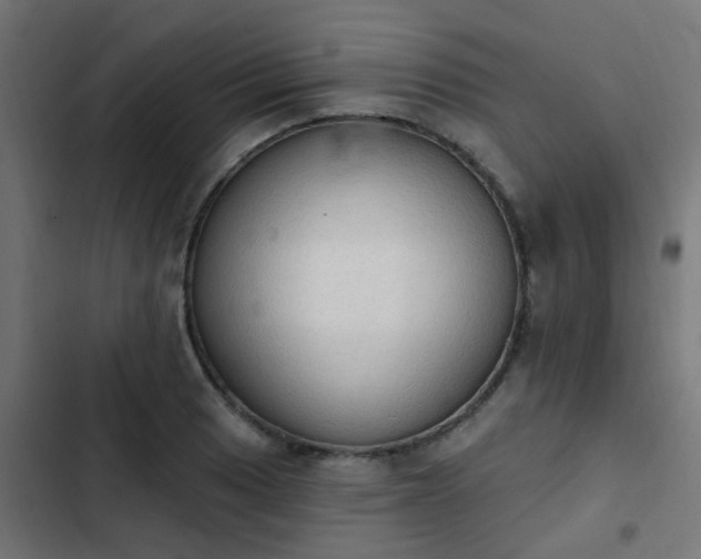 X0000103951033200809261744