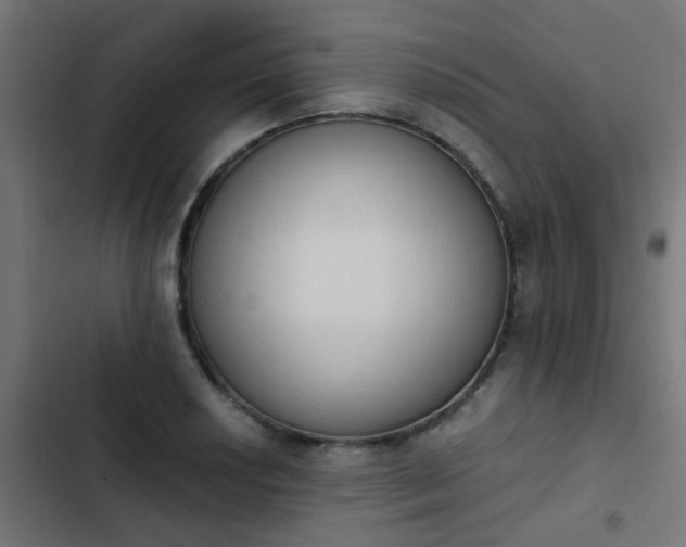 X0000103951034200809261744