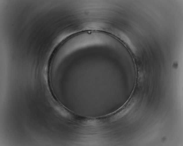 X0000103951035200809261744