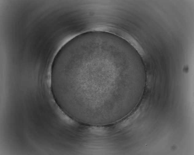 X0000103951036200809261744