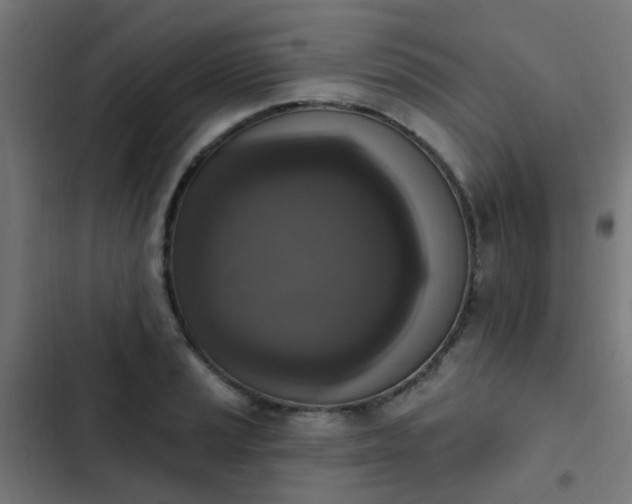 X0000103951037200809261744