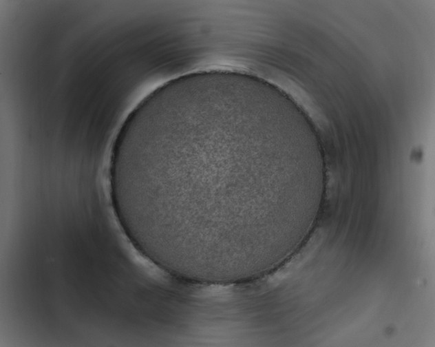 X0000103951038200809261744