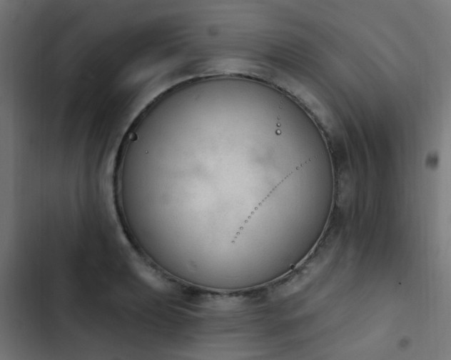 X0000103951039200809261744