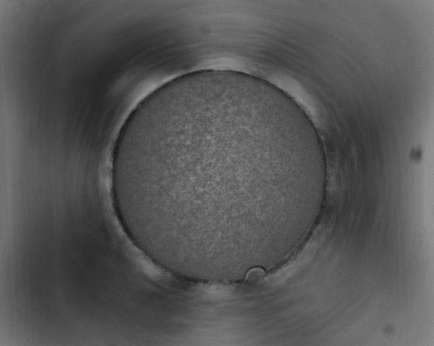 X0000103951040200809261744