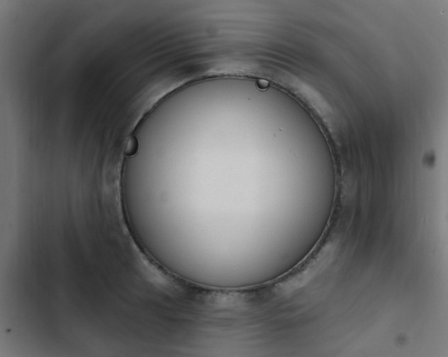 X0000103951041200809261744