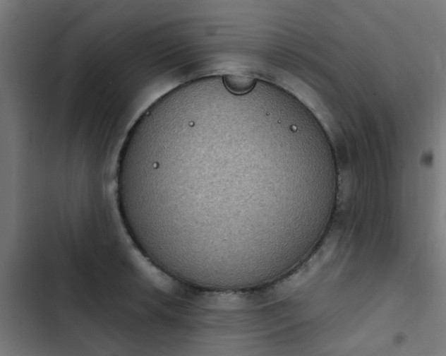 X0000103951042200809261744