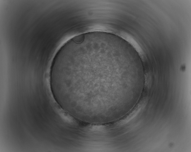 X0000103951043200809261744