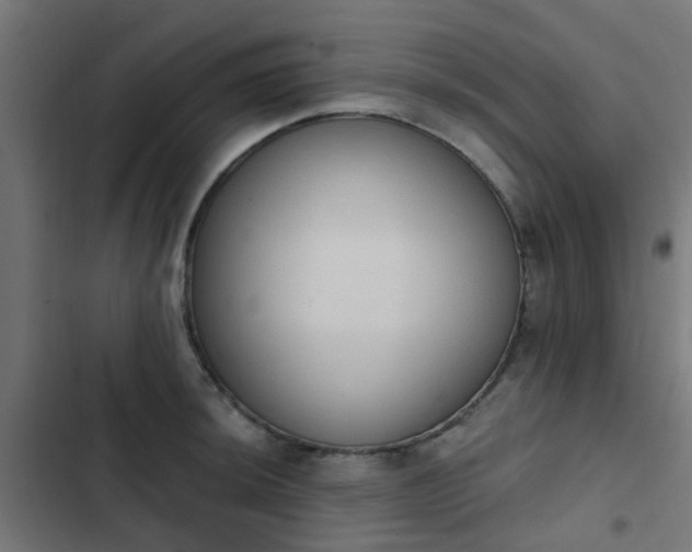 X0000103951044200809261744