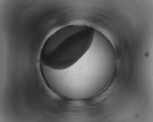 X0000103951045200809261744